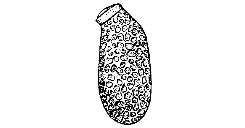 img5.jpg
