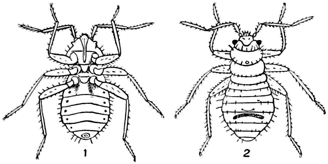 img6.jpg
