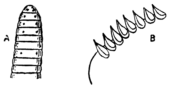 img63.jpg