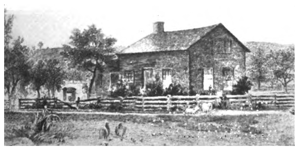 img3.jpg