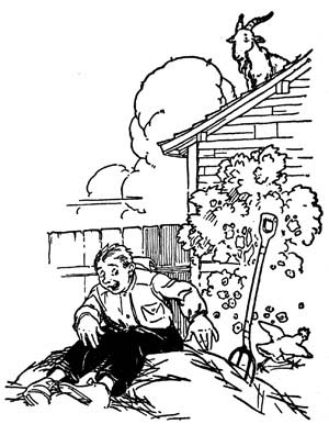 img12.jpg