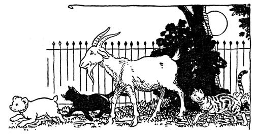 img22.jpg