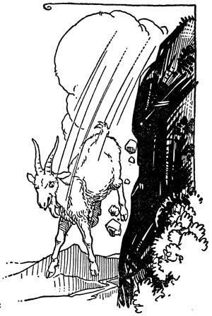img23.jpg