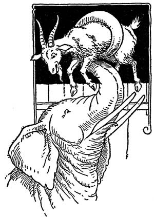 img25.jpg