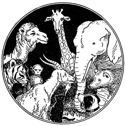 img26.jpg