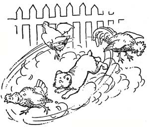 img3.jpg