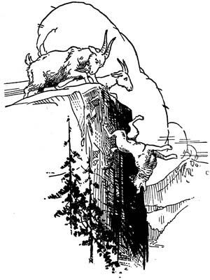 img31.jpg