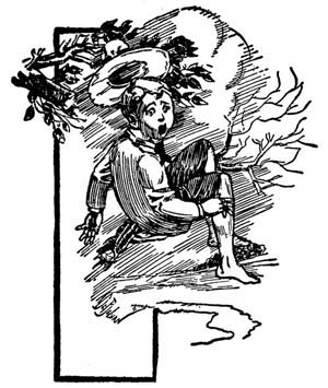 img12.jpg