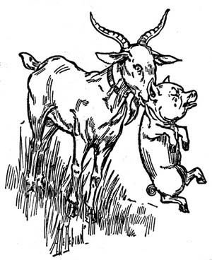 img17.jpg