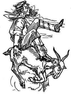 img20.jpg