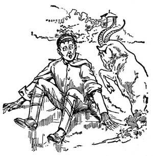 img21.jpg