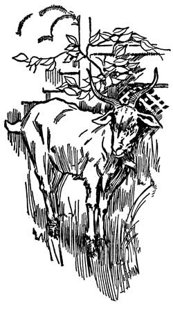 img22.jpg