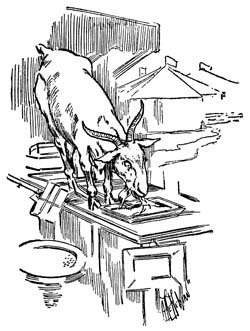 img23.jpg