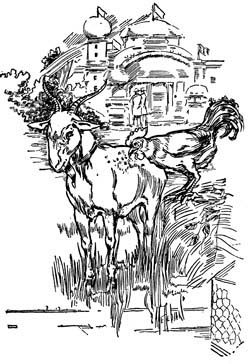 img24.jpg
