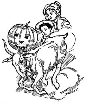 img26.jpg