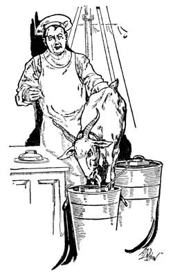 img27.jpg