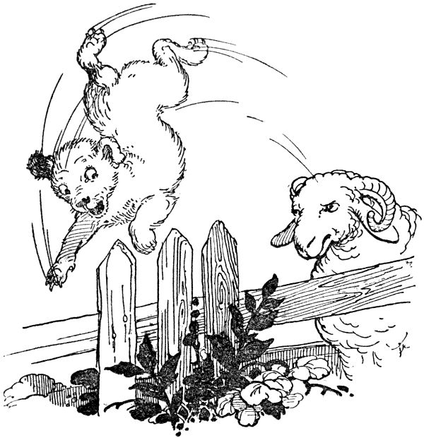 img28.png
