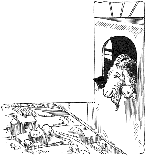 img34.png