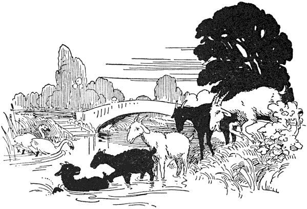 img42.png