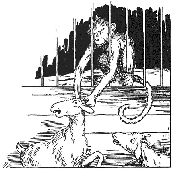 img46.png