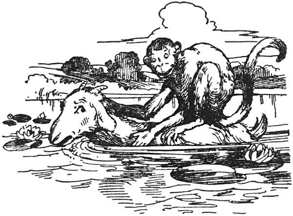 img47.png