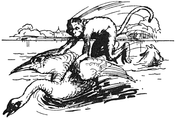 img48.png
