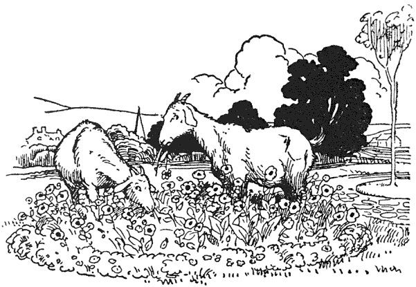 img49.png