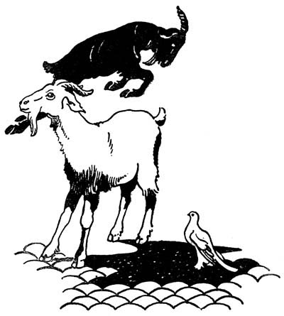 img2.jpg