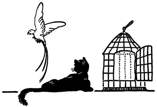 img23.jpg