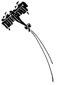 img25.jpg