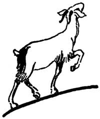 img26.jpg