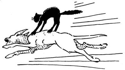 img34.jpg