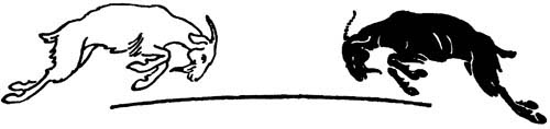 img37.jpg