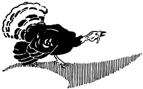 img44.jpg
