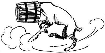 img45.jpg
