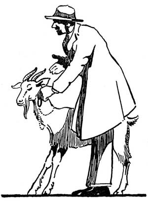 img46.jpg