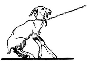 img47.jpg