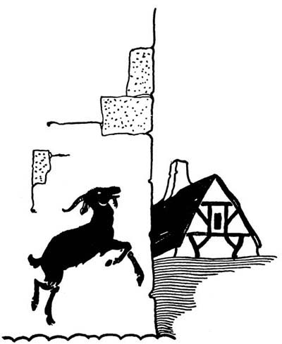 img9.jpg