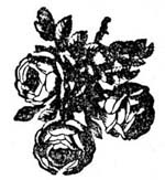 img10.jpg