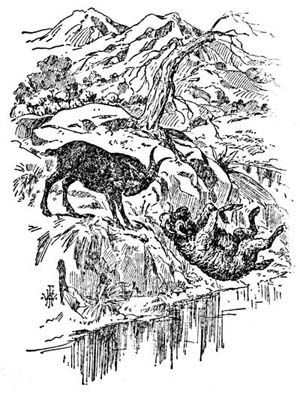 img14.jpg