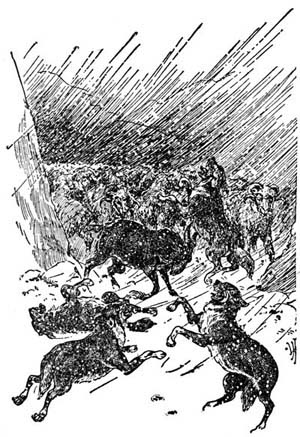 img17.jpg