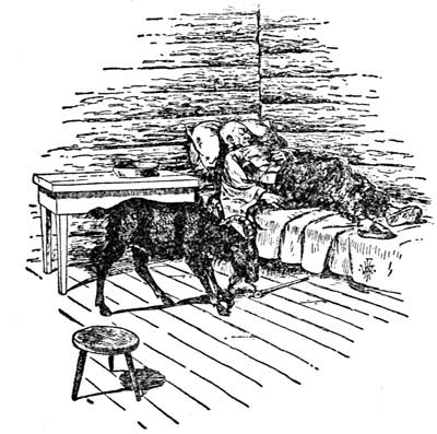 img19.jpg