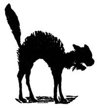 img24.jpg