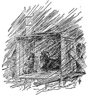 img29.jpg
