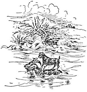 img32.jpg