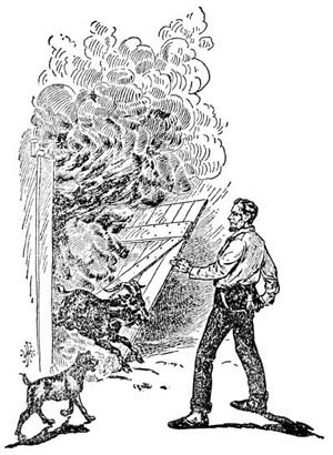 img36.jpg