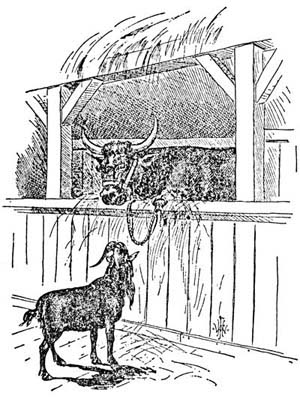 img38.jpg