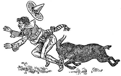 img40.jpg