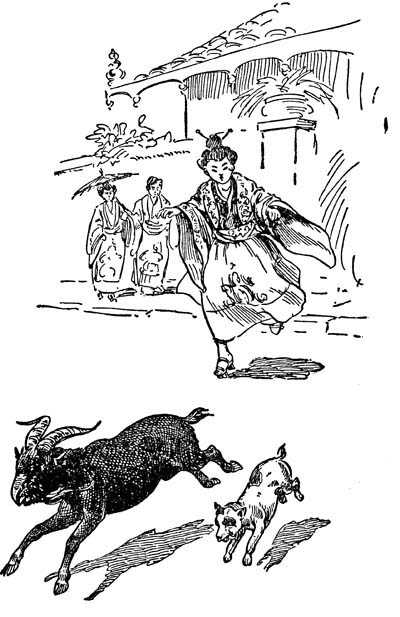 img44.jpg