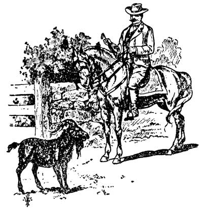 img5.jpg